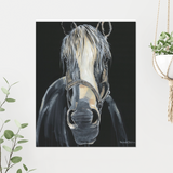 Painting of a horse's face on a black background with decorative elements.