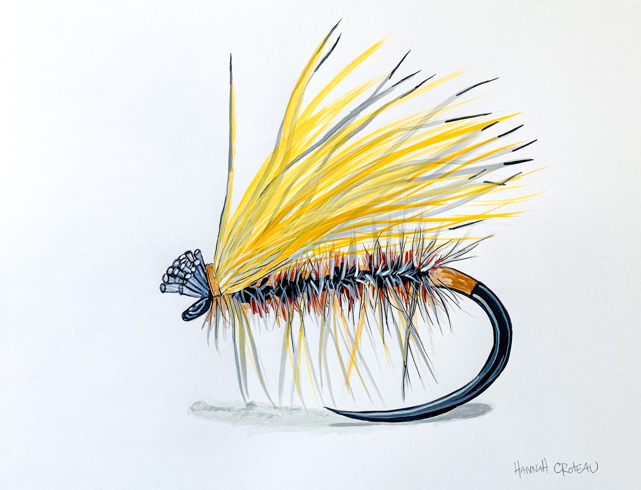 Elk hair Caddis – Hannah Croteau art